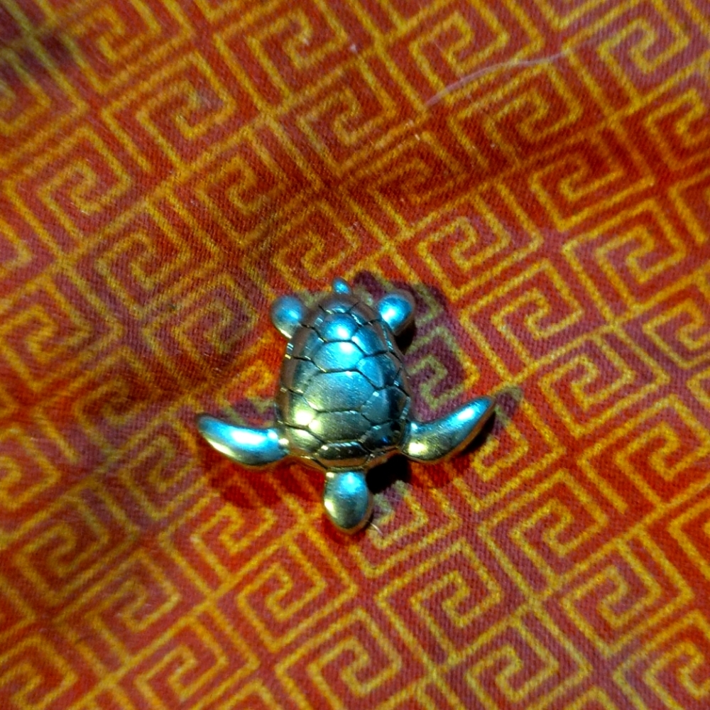 Turtle ashes charm